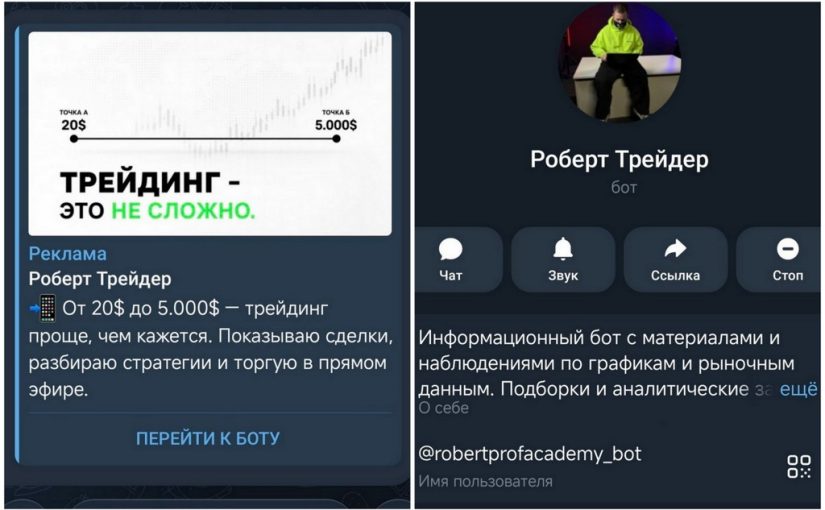 Как именно разведёт «Роберт Трейдер»